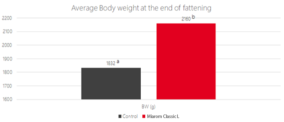Improving gut health Feed Conversion Ratio
